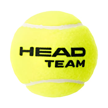 Head Team Tennis Ball 4 Ball Can