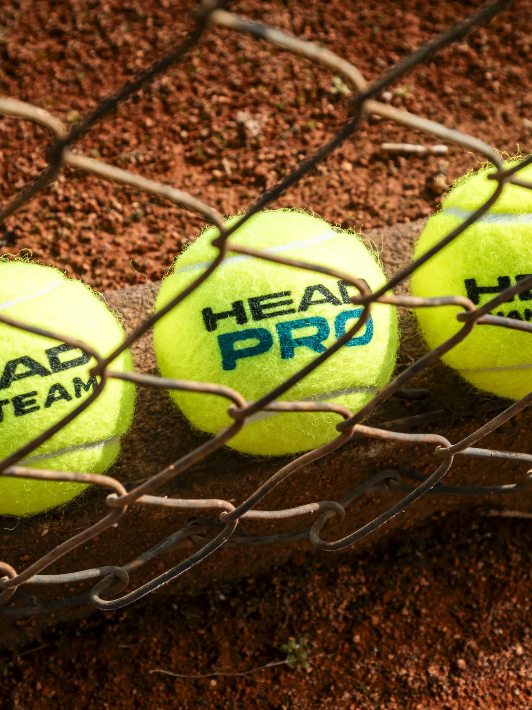 Head Team Tennis Ball 4 Ball Can